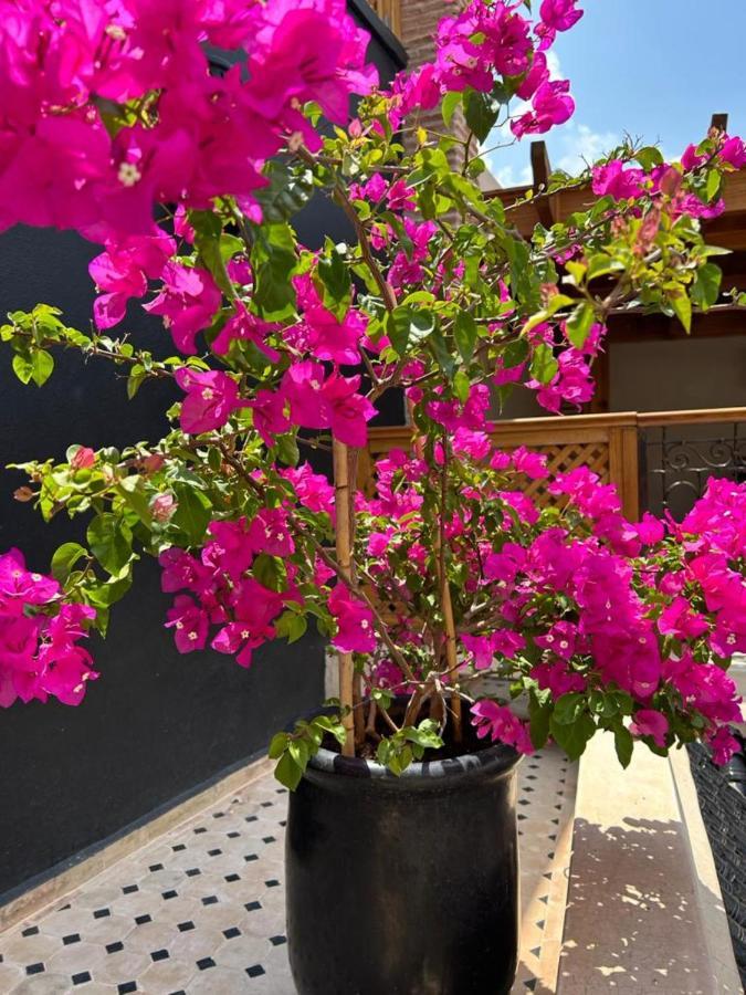 מרקש Riad Al Nubala מראה חיצוני תמונה